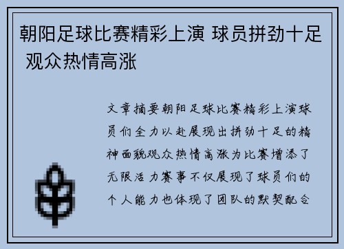 朝阳足球比赛精彩上演 球员拼劲十足 观众热情高涨