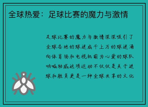 全球热爱：足球比赛的魔力与激情