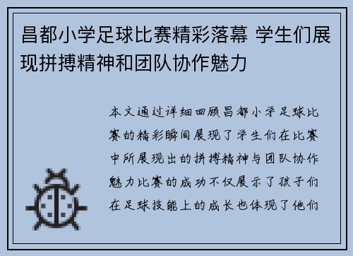昌都小学足球比赛精彩落幕 学生们展现拼搏精神和团队协作魅力