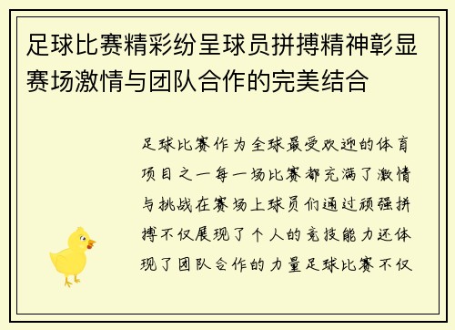 足球比赛精彩纷呈球员拼搏精神彰显赛场激情与团队合作的完美结合