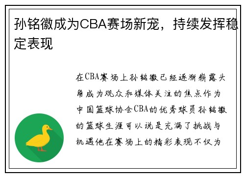 孙铭徽成为CBA赛场新宠，持续发挥稳定表现