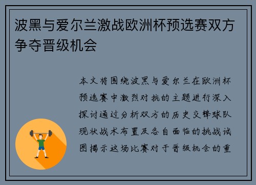 波黑与爱尔兰激战欧洲杯预选赛双方争夺晋级机会